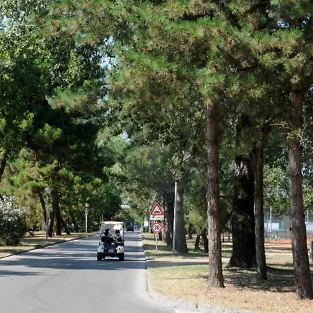 Quadrilocale V4p Villa