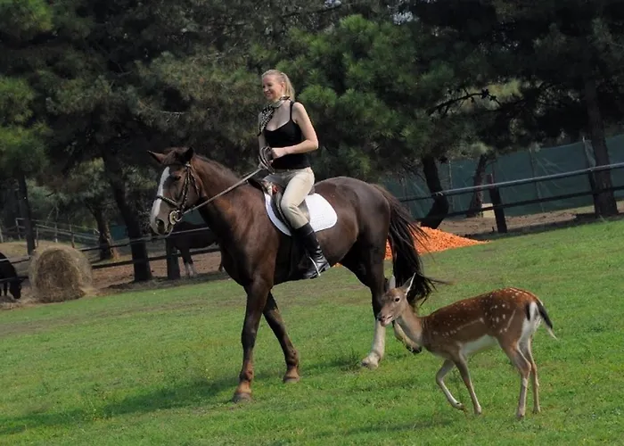 Quadrilocale V4p Albarella Island