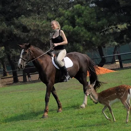 Quadrilocale V4p Albarella Island